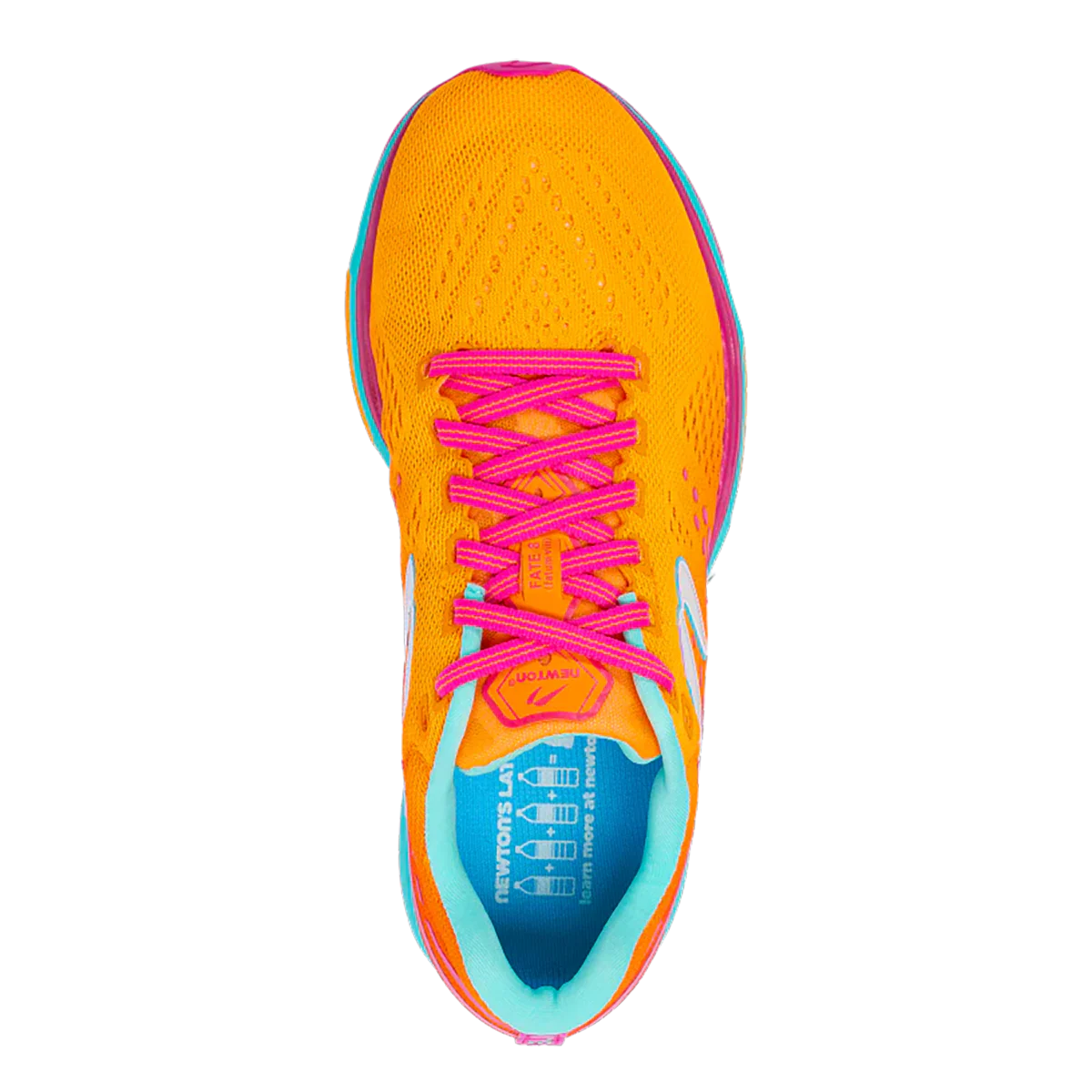Newton Fate 8 - Image 7