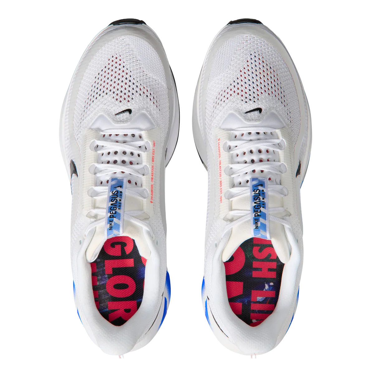 Nike Pegasus Premium CM - Image 3