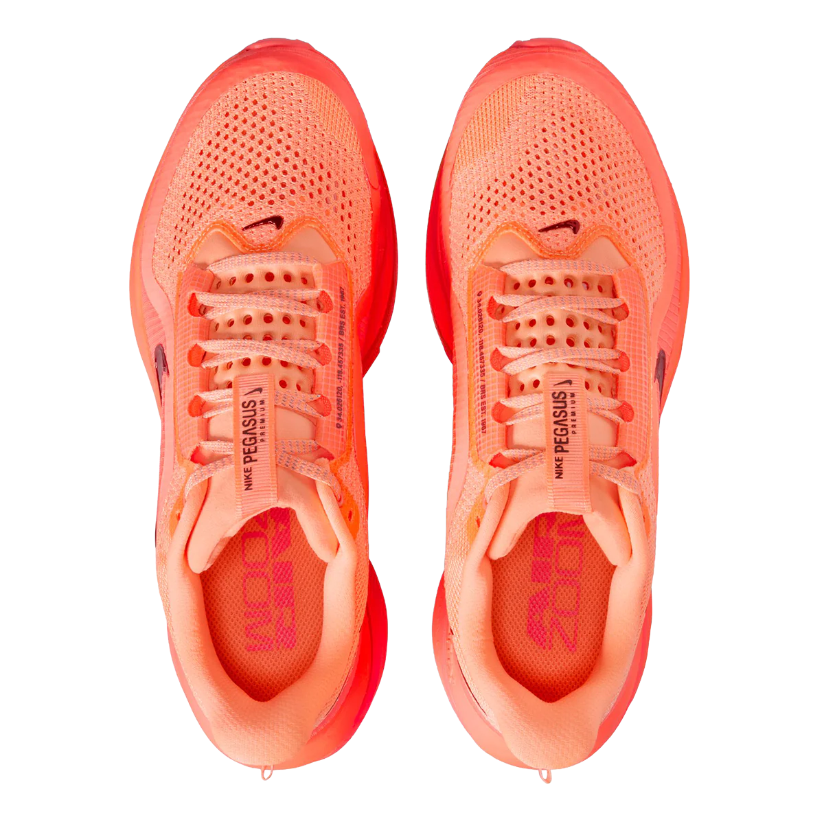 Nike Pegasus Premium - Image 63