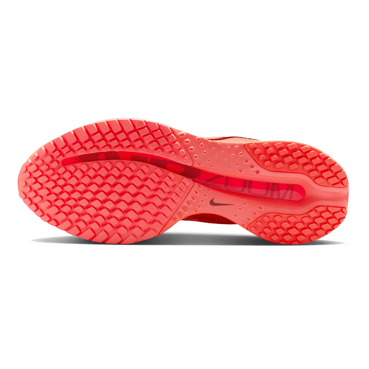 Nike Pegasus Premium - Image 64